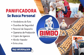 Aprovecha las nuevas ofertas de trabajo en BIMBO