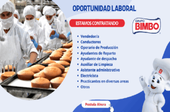 Descubre Empleos en Bimbo y Crece Profesionalmente