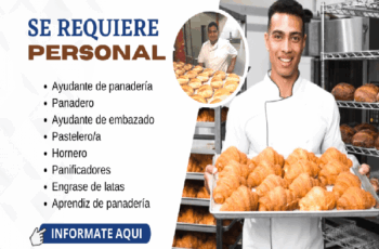 Trabaja en Panaderías: Con Alta Demanda