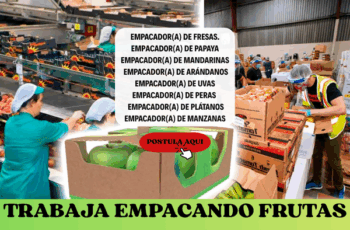 Trabajo para Empacadores de Frutas – Nuevas Oportunidades