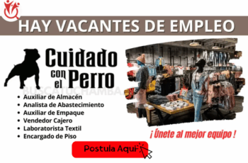 Empleos Disponibles en Cuidado con el Perro: ¡Postúlate Hoy!