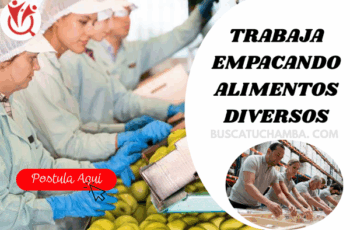 Empleos Disponibles en Empacado de Alimentos con Estabilidad