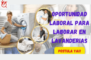 Ofertas de Empleo en Lavandería: Puestos Disponibles con Estabilidad y Crecimiento