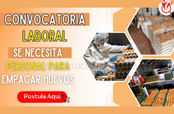 Trabaja Empacado de Huevos: ¡Únete y Crece Profesionalmente!