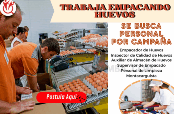 Oportunidades de Empleo Empacando de Huevos – ¡Vacantes Disponibles!