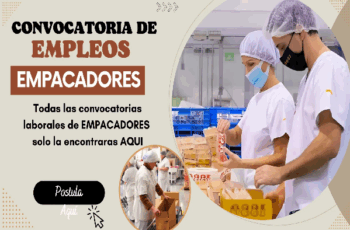Trabajo de Empacador en Fábricas – ¡Aplica Ya!